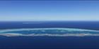 Llewellyn Reef - QLD (PBH4 00 18386)
